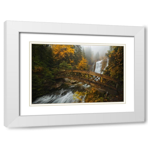 A Bridge in the Forest White Modern Wood Framed Art Print with Double Matting by Fossati, Enrico