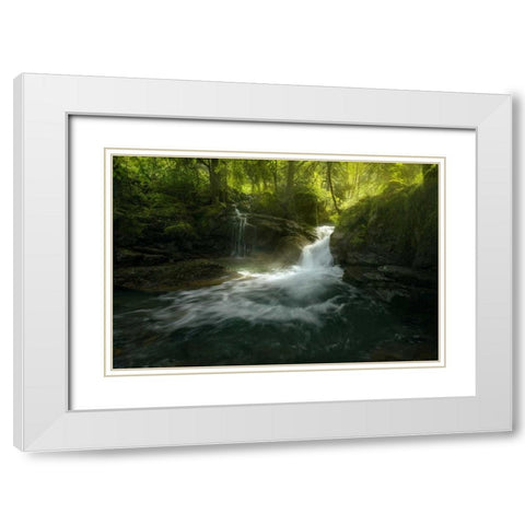 Stream of Life White Modern Wood Framed Art Print with Double Matting by Fossati, Enrico