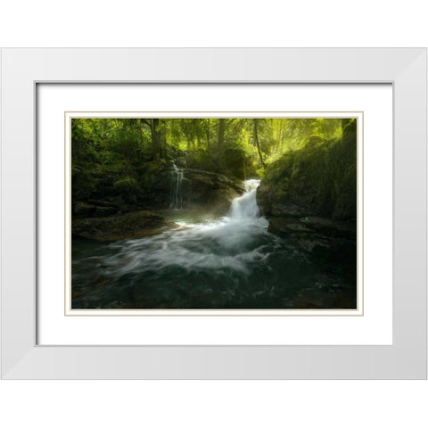 Stream of Life White Modern Wood Framed Art Print with Double Matting by Fossati, Enrico