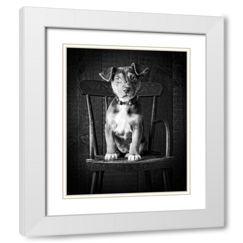 Mutt Black and White White Modern Wood Framed Art Print with Double Matting by Fielding, Edward M.