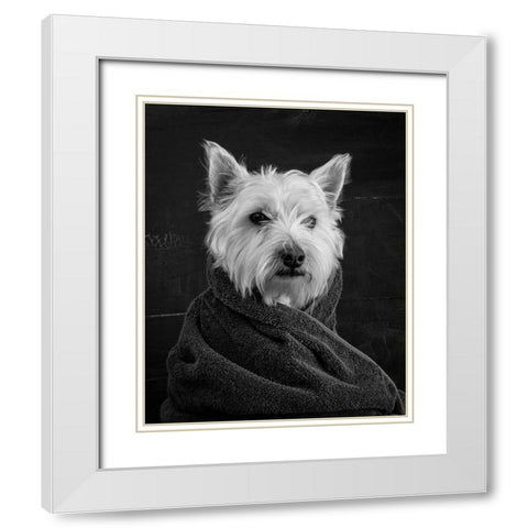 Portrait of a Westy Dog White Modern Wood Framed Art Print with Double Matting by Fielding, Edward M.