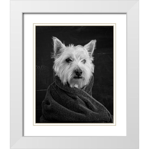 Portrait of a Westy Dog White Modern Wood Framed Art Print with Double Matting by Fielding, Edward M.