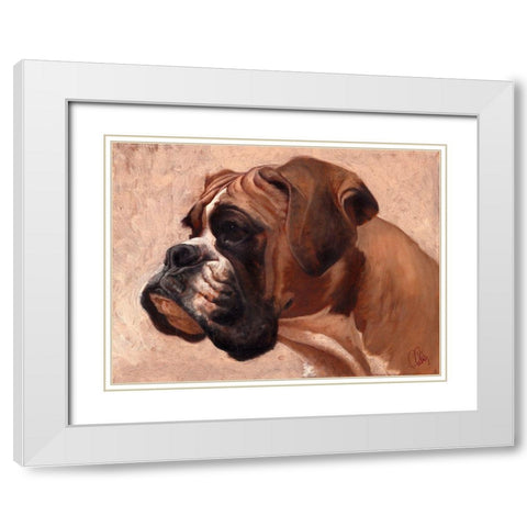 Boxer White Modern Wood Framed Art Print with Double Matting by Fluharty, Thomas