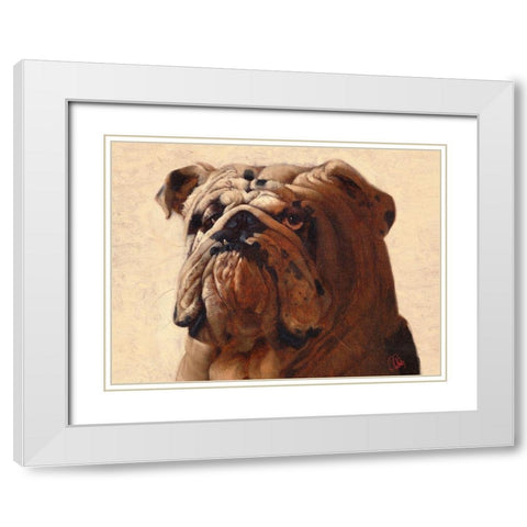 Bulldog White Modern Wood Framed Art Print with Double Matting by Fluharty, Thomas