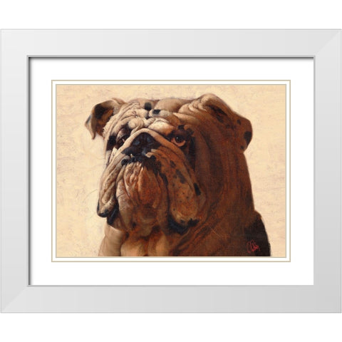 Bulldog White Modern Wood Framed Art Print with Double Matting by Fluharty, Thomas