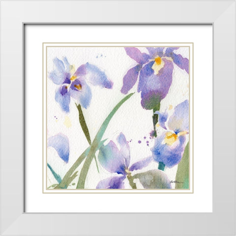 Irises White Modern Wood Framed Art Print with Double Matting by Golden, Sheila