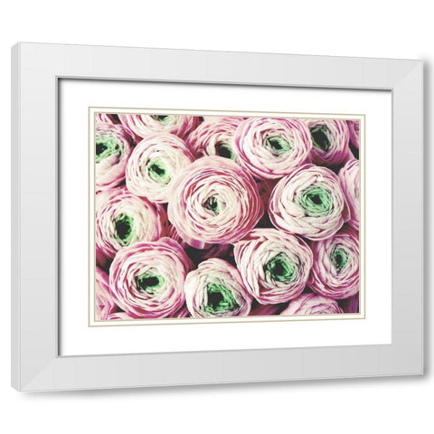 Bundle of Sweetness White Modern Wood Framed Art Print with Double Matting by Grainne, Lupen