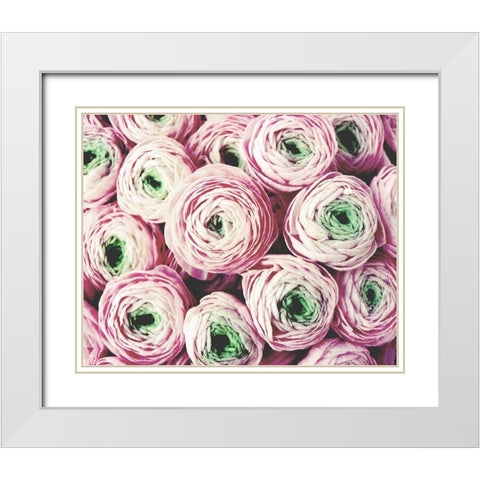 Bundle of Sweetness White Modern Wood Framed Art Print with Double Matting by Grainne, Lupen