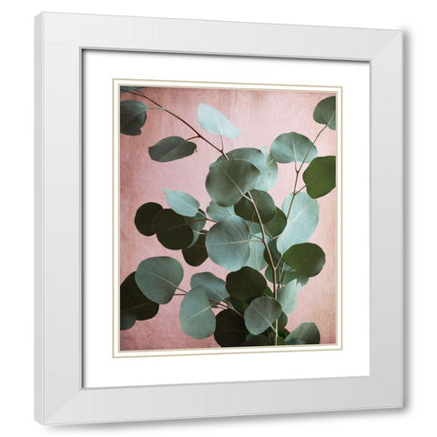 Sage Eucalyptus No. 1 White Modern Wood Framed Art Print with Double Matting by Grainne, Lupen