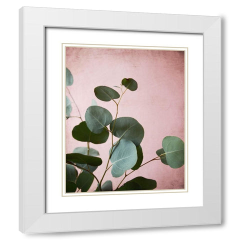 Sage Eucalyptus No. 2 White Modern Wood Framed Art Print with Double Matting by Grainne, Lupen
