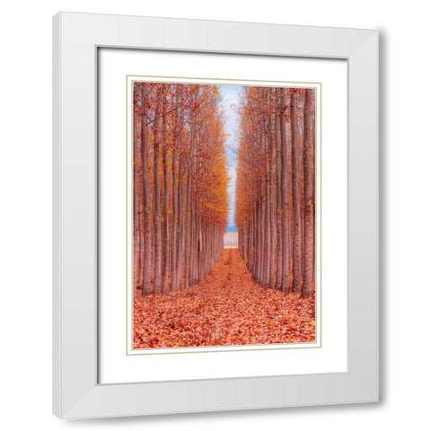 Tree Farm White Modern Wood Framed Art Print with Double Matting by Getty, Bruce