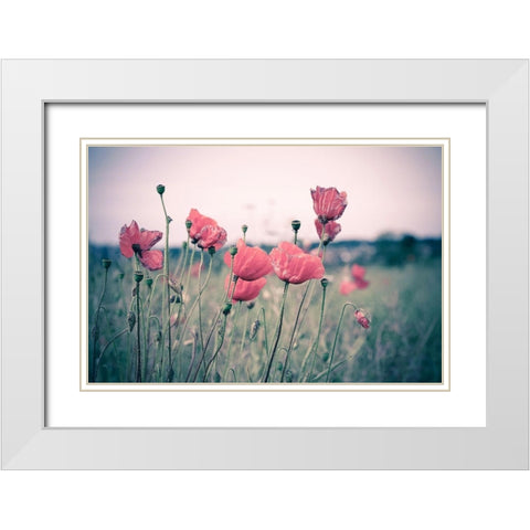 Pink Tulips White Modern Wood Framed Art Print with Double Matting by Goncalves, Adelino