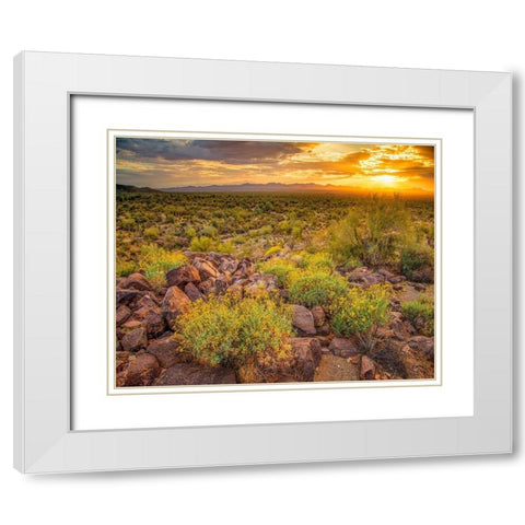 Brittlebush Sunset White Modern Wood Framed Art Print with Double Matting by Gavrilis, John
