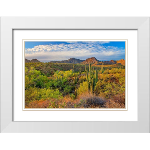 Jewel Evening White Modern Wood Framed Art Print with Double Matting by Gavrilis, John