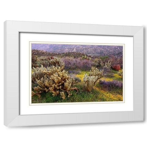 Desert Cactus and Wildflowers White Modern Wood Framed Art Print with Double Matting by Gavrilis, John