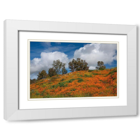 Poppies-Trees And Clouds White Modern Wood Framed Art Print with Double Matting by Gavrilis, John