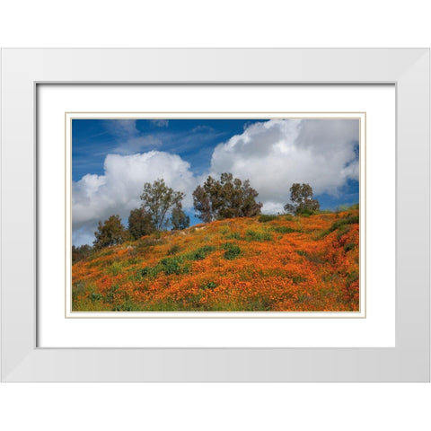 Poppies-Trees And Clouds White Modern Wood Framed Art Print with Double Matting by Gavrilis, John