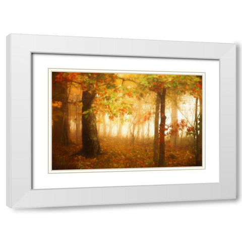 Autumns Rainbow White Modern Wood Framed Art Print with Double Matting by Grippo-Pike, Carrie Ann