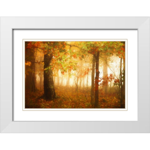 Autumns Rainbow White Modern Wood Framed Art Print with Double Matting by Grippo-Pike, Carrie Ann