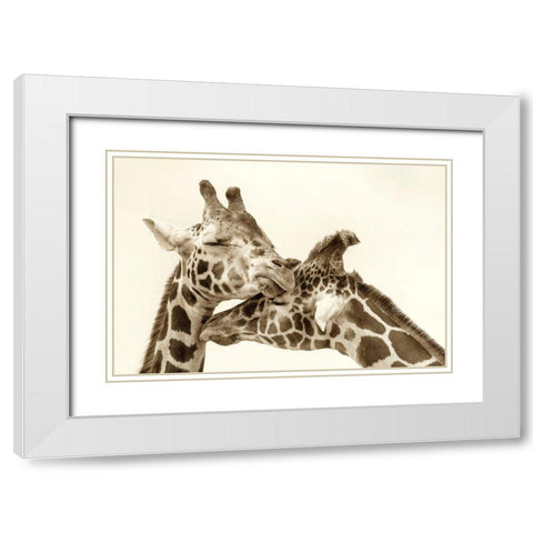 In Love White Modern Wood Framed Art Print with Double Matting by Grippo-Pike, Carrie Ann