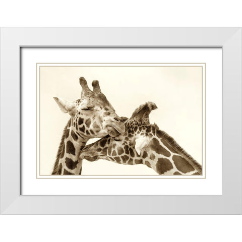In Love White Modern Wood Framed Art Print with Double Matting by Grippo-Pike, Carrie Ann