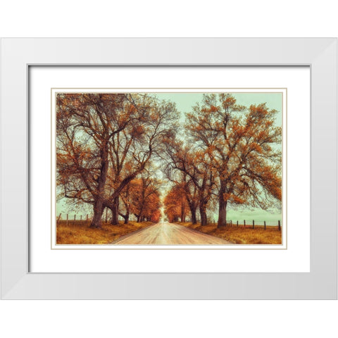 November Adventures White Modern Wood Framed Art Print with Double Matting by Grippo-Pike, Carrie Ann