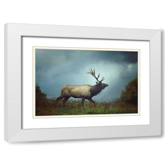 Perspective Image