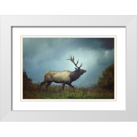 The Elk White Modern Wood Framed Art Print with Double Matting by Grippo-Pike, Carrie Ann