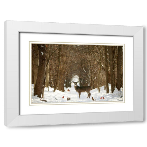 The Forest of Snow White White Modern Wood Framed Art Print with Double Matting by Grippo-Pike, Carrie Ann