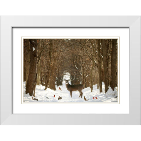 The Forest of Snow White White Modern Wood Framed Art Print with Double Matting by Grippo-Pike, Carrie Ann