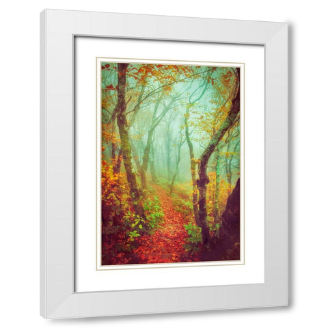 Fairytale Fall Pathway White Modern Wood Framed Art Print with Double Matting by Grippo-Pike, Carrie Ann