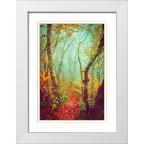 Fairytale Fall Pathway White Modern Wood Framed Art Print with Double Matting by Grippo-Pike, Carrie Ann