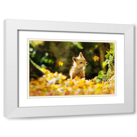 Falling Leaves Fox White Modern Wood Framed Art Print with Double Matting by Grippo-Pike, Carrie Ann