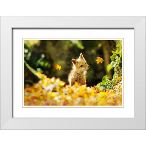 Falling Leaves Fox White Modern Wood Framed Art Print with Double Matting by Grippo-Pike, Carrie Ann