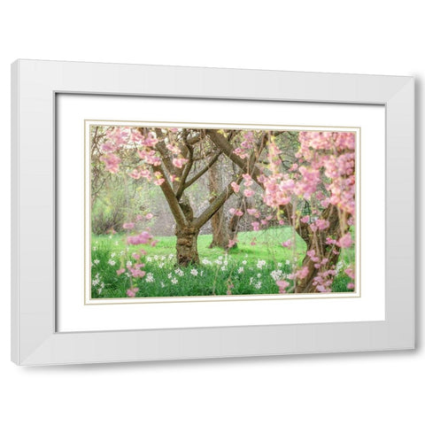 Springtime Fairytale Cherry Tree White Modern Wood Framed Art Print with Double Matting by Grippo-Pike, Carrie Ann