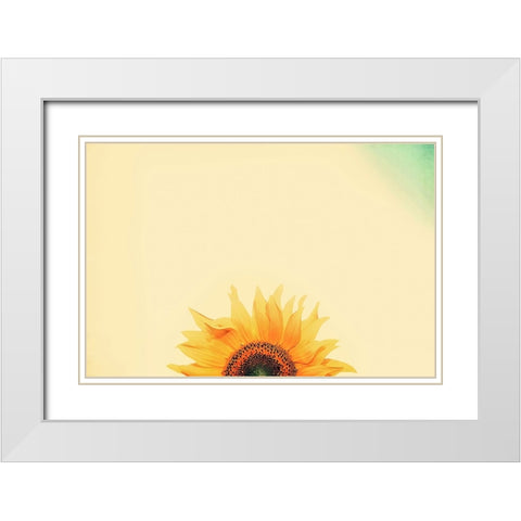 Sunflower Sunrise White Modern Wood Framed Art Print with Double Matting by Grippo-Pike, Carrie Ann
