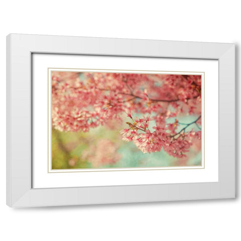 Cheery Cherry Blossoms White Modern Wood Framed Art Print with Double Matting by Grippo-Pike, Carrie Ann