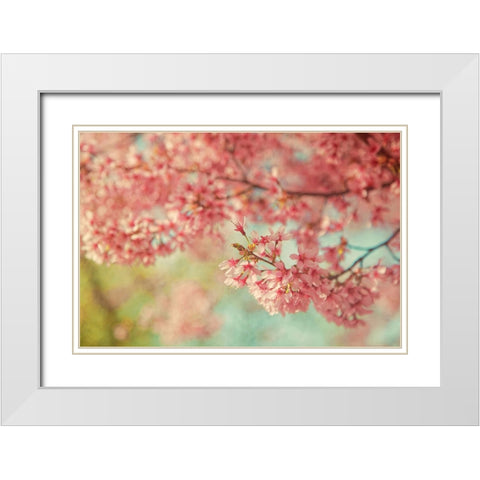 Cheery Cherry Blossoms White Modern Wood Framed Art Print with Double Matting by Grippo-Pike, Carrie Ann