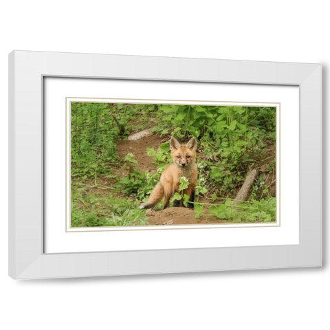 Fox and Flower White Modern Wood Framed Art Print with Double Matting by Grippo-Pike, Carrie Ann