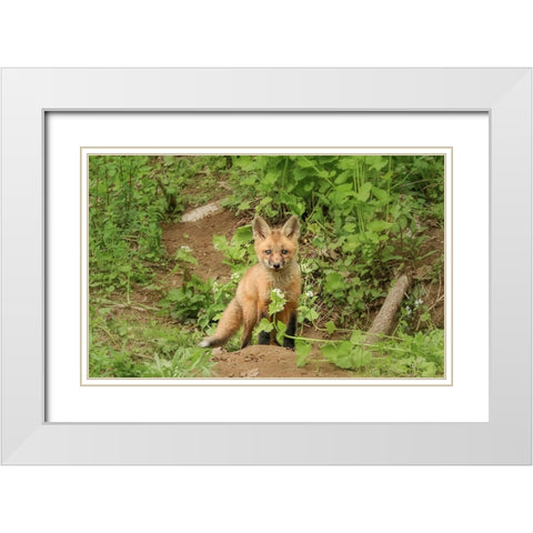 Fox and Flower White Modern Wood Framed Art Print with Double Matting by Grippo-Pike, Carrie Ann
