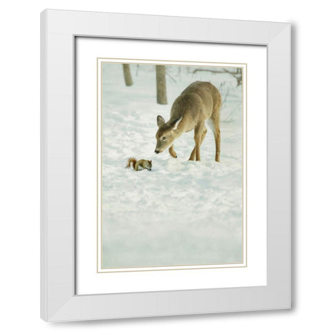 Winter Squirrel and Deer White Modern Wood Framed Art Print with Double Matting by Grippo-Pike, Carrie Ann