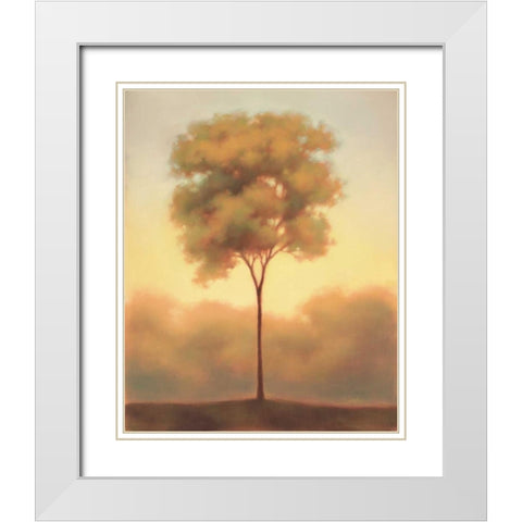 Solitude III White Modern Wood Framed Art Print with Double Matting by Gams, Darlou