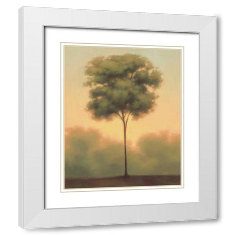 Solitude IV White Modern Wood Framed Art Print with Double Matting by Gams, Darlou
