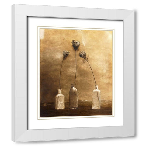 Three Views White Modern Wood Framed Art Print with Double Matting by Gauthier, Jan