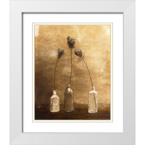 Three Views White Modern Wood Framed Art Print with Double Matting by Gauthier, Jan