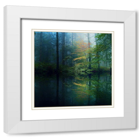 The Forest White Modern Wood Framed Art Print with Double Matting by Goncalves, Adelino