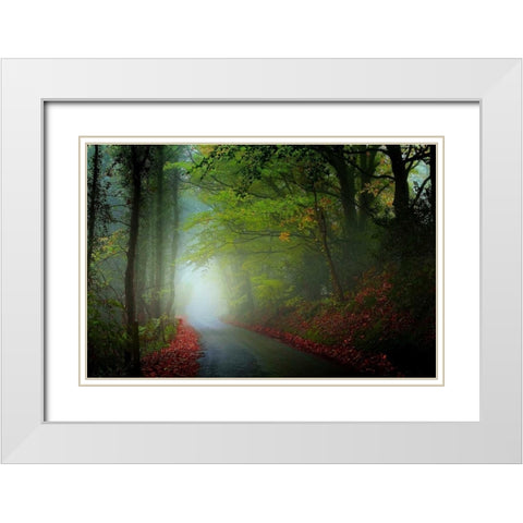 The Lane White Modern Wood Framed Art Print with Double Matting by Goncalves, Adelino