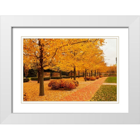 Fall Walkway White Modern Wood Framed Art Print with Double Matting by Ganju, Abhi