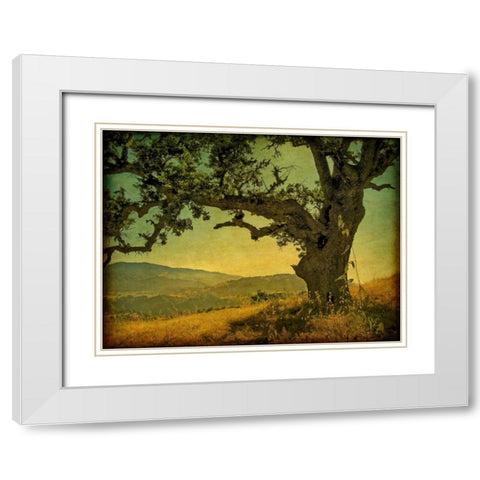Blue Oak Hilltop White Modern Wood Framed Art Print with Double Matting by Guion, William