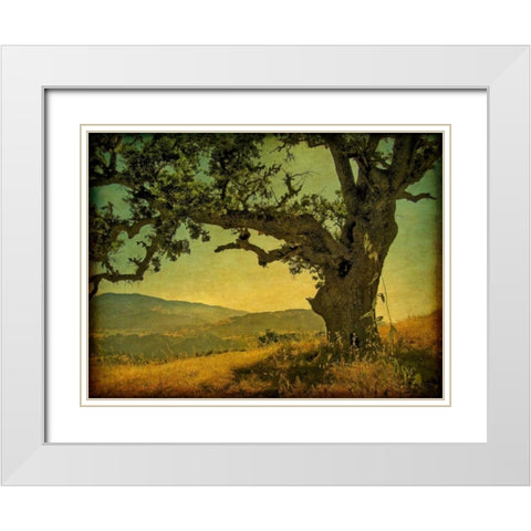 Blue Oak Hilltop White Modern Wood Framed Art Print with Double Matting by Guion, William